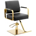 Miniatyrbild 1 av 5: physa - Frisörstol med fotstöd - 50–66 cm - 200 kg - Svart, guld