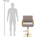Miniatyrbild 2 av 6: physa - Frisörstol med fotstöd - 490–650 mm - 200 kg - Beige / guldfärgad