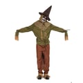 Miniatyrbild 1 av 4: Skräckklädsel Skämtare Vuxen - PTIT CLOWN - Modell Skämtare - Grön - Polyester - Lätt