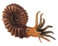 Miniatyrbild 2 av 2: BULLYLAND ammonitdinosauriefigur - Höjd 15,3 cm - För barn från 3 år
