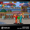 Miniatyrbild 6 av 6: Blaze Evercade - Toaplan Arcade Collection 4 - Kartong nr 13