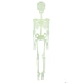 Miniatyrbild 1 av 3: Lysande Ledad Skelett - LILLA CLOWNEN - 24074 - 150 cm - Halloween Dekoration - Spökhus