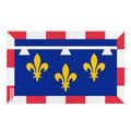 Miniatyrbild 1 av 3: Center-Val de Loire Flag – 160 x 240 cm – Hållbar Polyester – 2 Metallöglor – Inomhus / Utomhus – Pixelforma
