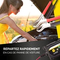 Miniatyrbild 5 av 6: Dunlop Laddare 6/12 V