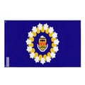 Miniatyrbild 1 av 3: Oshawa-Flagga – 128 x 192 cm – Hållbar Polyester – 2 Metallöglor – Inomhus / Utomhus – Pixelforma