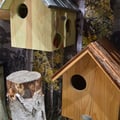 Miniatyrbild 2 av 2: Ekorrebo för ekorrar med tak av bark
