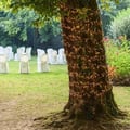 Pikkukuva 6 / 6: Guirlande Boa 40M 2000 LED 8 valotehosteita amberi vihreä johto Lotti