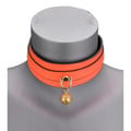 Miniatyrbild 3 av 6: Fluorescerande orange halsband och koppel - Orange