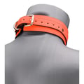 Miniatyrbild 5 av 6: Fluorescerande orange halsband och koppel - Orange