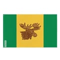 Miniatyrbild 1 av 3: Flagga Moose Jaw – 90 x 150 cm – Hållbar Polyester – 2 Metalöglor – Inomhus / Utomhus – Pixelforma