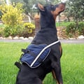 Miniatyrbild 2 av 4: Aktiv sele BLUE HARNESS S