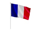 Miniatyrbild 1 av 3: Mini Frankrikes flagga – 30 x 45 cm – Att hålla i handen – Polyester – 1 styck – Pixelforma