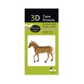 Miniatyrbild 2 av 2: 3D-modell i papper - FRIDOLIN - 3D-modell av Haflingerhäst - Brun - Kartong - 11,5×10×4 cm