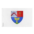 Miniatyrbild 1 av 3: Plessisville-flagga – 90 x 150 cm – Beständigt polyester – 2 metalöglor – Inomhus / Utomhus – Pixelforma