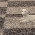 Miniatyrbild 2 av 4: Tapis Shaggy - Gala - Taupe-Beige - 120x170 cm - Lång lugg - Inomhus