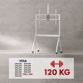 Miniatyrbillede 6 af 6: Chariot TV - Maclean - MC-114 - 55-100 tommer - Maks. belastning 120kg - VESA 900x600 - Hvid