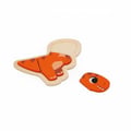 Miniatyrbild 2 av 6: DINO - 4 EVOLVERANDE PUZZELER DINO