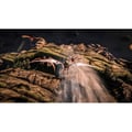 Miniatyrbild 6 av 6: Ark: Ultimate Survivor Edition PS4-spel