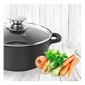 Miniatyrbild 2 av 2: Marmite - ORION - GRANDE - Diameter 20 cm - Glaslock - Non-stick yta