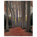 Miniatyrbild 1 av 4: Legendarte - Målning, tryck på duk - Avenue Of Plate Trees - Santiago Rusiñol cm. 60x75