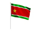 Miniatyrbild 1 av 3: Mini flagga för Guadeloupe – 30 x 45 cm – Att hålla i handen – Polyester – 1 styck – Pixelforma