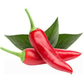 Miniatyrbild 3 av 5: EMSA Set med 3 Click&Grow Chili-kapslar
