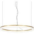 Miniatyrbillede 1 af 3: CROWN SP D60, Suspension LED,