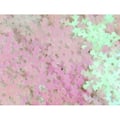 Miniatyrbild 2 av 2: Påse med paljetter - EMINZA - Hologramflingor - Iriiserande vit - 50 g - 2 cm
