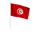 Miniatyrbild 1 av 3: Mini Flagga av Tunisien – 20 x 30 cm – Att Hålla i Handen – Polyester – 1 styck – Pixelforma
