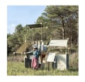 Miniatyrbild 2 av 6: Trigonos - Trigonos Maxi Organic Arbaro