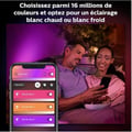 Miniatyrbild 4 av 6: PHILIPS Hue White and Color Ambiance Lily XL utomhusspotlight - 15W - Svart