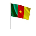 Miniatyrbild 1 av 3: Mini-flaggor – Kamerun – 14 x 21 cm – Att hålla i handen – Polyester - 50 stycken – Pixelforma