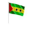 Miniatyrbild 1 av 3: Set med mini-flaggor – Sao Tomé och Príncipe – 14 x 21 cm – Att hålla i handen – Polyester - 100 stycken – Pixelforma