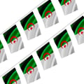 Miniatyrbild 1 av 3: Girlang – Algeriets flagga – 14 x 21 cm – Polyester – Att hänga – 20 stycken