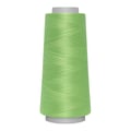 Miniatyrbild 1 av 2: Fil Surjet spécial Overlock 2500m 100% polyester - Att 516 - 8285 - grönt äpple