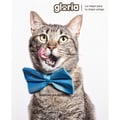Miniatyrbild 2 av 2: Kattklösbräda - GLORIA DET BÄSTA FÖR DIN BÄSTA VÄN - Lekcentrum - Sisal - 36x36x81.5 cm - Brun