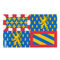 Miniatyrbild 1 av 3: Flagga Bourgogne-Franche-Comté – 120 x 180 cm – Polyester – Metallöglor – Hållbar