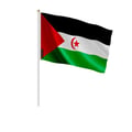Miniatyrbild 1 av 3: Mini flagga av Sahariska arabiska republiken – 30 x 45 cm – Att hålla i handen – Polyester – 1 styck – Pixelforma