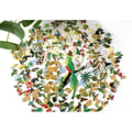 Miniatyrbild 2 av 5: RESPLENDENT QUETZAL