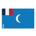Miniatyrbild 1 av 3: Fransk mandatflagga i Syrien – 160 x 240 cm – Polyester – Järnöglor – Hållbar