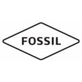 Miniatyrbild 2 av 2: Collier - Fossil - JF02812040 - Silver - 45 cm - Zirkoniumoxid