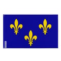 Miniatyrbild 1 av 3: Flagga Île-de-France – 128 x 192 cm – Hållbar Polyester – 2 Metallöglor – Inomhus / Utomhus – Pixelforma
