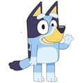 Miniatyrbild 1 av 2: Dyna - Ny import - 018BLU-CF - Flerfärgad - Inomhus - Ny