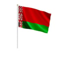 Miniatyrbild 1 av 3: Mini Flagga från Vitryssland – 30 x 45 cm – Att Hålla i Hand – Polyester – 1 styck – Pixelforma