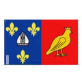 Miniatyrbild 1 av 3: Flagga Charente-Maritime – 120 x 180 cm – Hållbar Polyester – 2 Metallöglor – Inomhus / Utomhus – Pixelforma