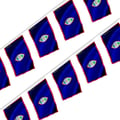 Miniatyrbild 1 av 3: Girlang – Guam-flagg – 14 x 21 cm – Polyester – Att hänga – 50 stycken