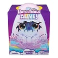 Miniatyrbild 6 av 6: SPIN MASTER DRAGLE HATCHIMALS ALIVE HEMLIG LUCKA