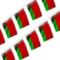 Miniatyrbild 1 av 3: Girlang – Flagga av Vitryssland – 14 x 21 cm – Polyester – Att hänga – 50 stycken