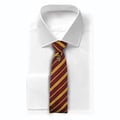 Miniatyrbillede 2 af 4: Cinereplicas - Harry Potter - Sæt med slips og Gryffindor badge