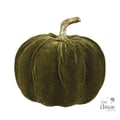 Miniatyrbild 2 av 4: Guldpumpa och sammet - slumpmässig färg - 16cm
